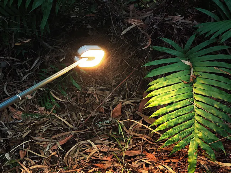 Flashlights,led Flashlights,lep Flashlights,edc Flashlights,MICRO flashlights,LEP tactical Flashlights,Laser Flashlights,LEP tactical Laser Flashlights,USB C flashlights,Flashlights manufacturers,Clover